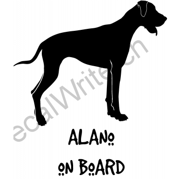 Alano on Board