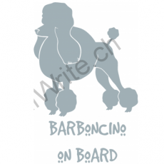 Barboncino on Board